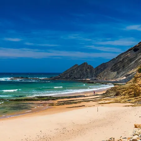 A Gaivota - Walking Distance To Monte Clerigo And Amoreira Beaches